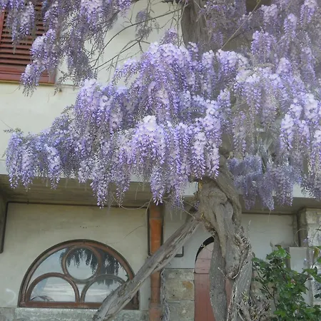 Bel Panorama Tre Country house