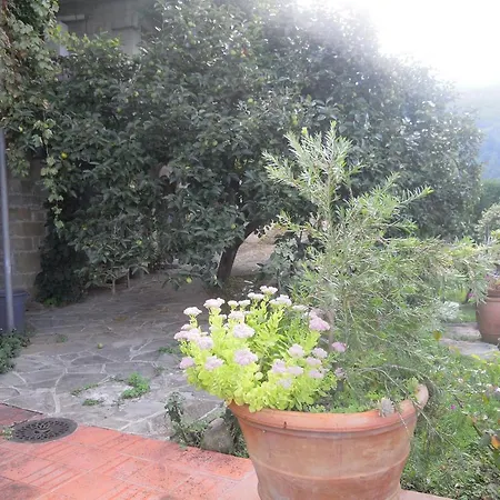 Bel Panorama Tre Country house Pelago