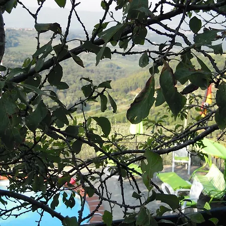 Gospodarstwo wiejskie Bel Panorama Tre